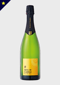 Hoya de Cadenas Cava Brut Nature