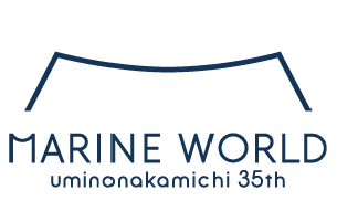 マリンワールド海の中道